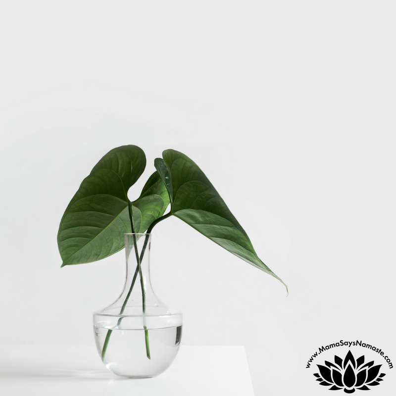 minimalsm with kids