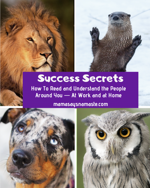 Success Secrets Reading Personalities Mama Says Namaste