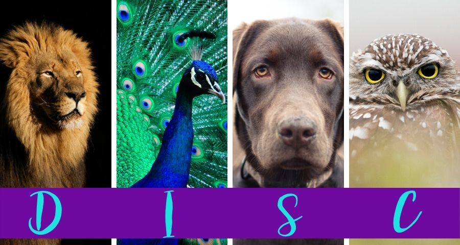 DISC Personality Style
